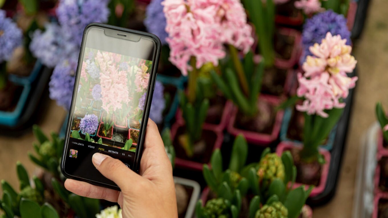 Google Trends e Floricultura Perto de Mim: Descubra Quais Flores São Mais Procuradas na Sua Região